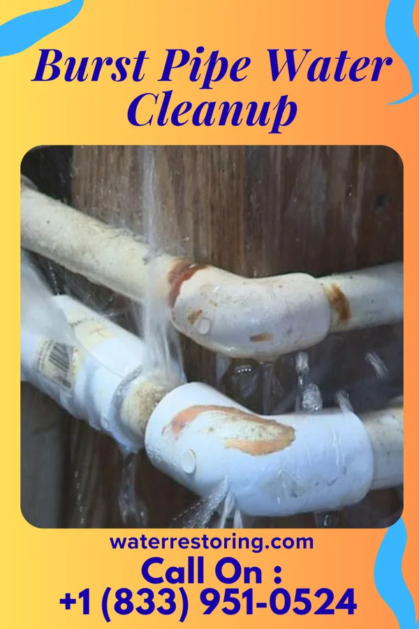 Burst Pipe Water Cleanup in Chesterton, IN