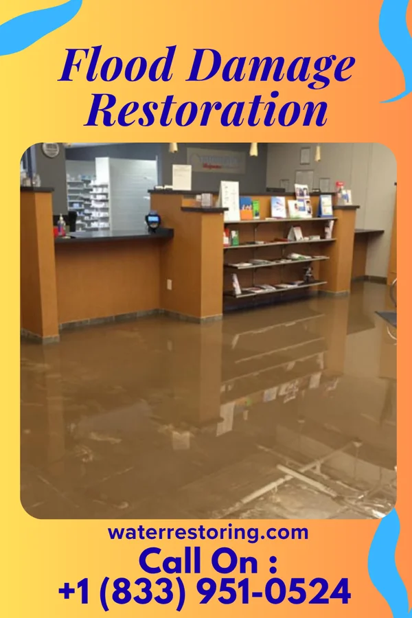 Flood Damage Restoration in Chesterton, IN